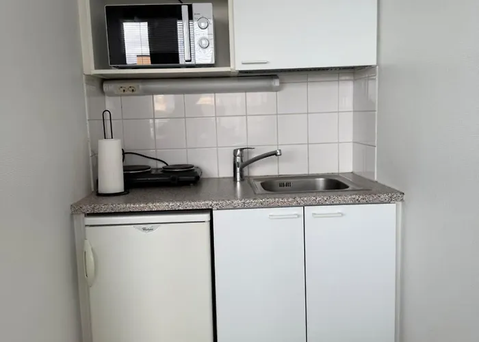 דירה Videsten Center *